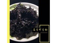 紫菜提取物 营养丰富 植物提取物厂家现货 全国包邮