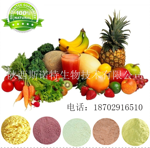 【厂家现货】水果酵素粉 高品质复合果蔬酵素 100%纯天然果蔬发酵