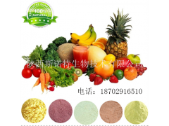 【厂家现货】水果酵素粉 高品质复合果蔬酵素 100%纯天然果蔬发酵