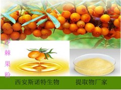 优质 沙棘提取物 沙棘粉  沙棘浸膏粉  酸甜可口