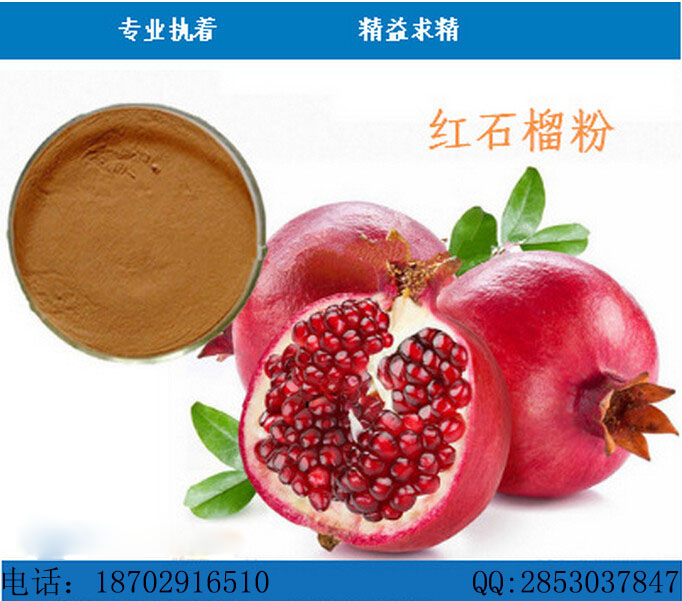 工厂供应 石榴提取物 石榴粉 营养丰富 大量现货包邮