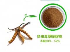 虫草提取物 虫草多糖 冬虫夏草提取物 蛹虫草提取物品质保证