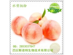 水蜜桃提取物 水蜜桃粉  纯植物水蜜桃粉 厂家直销