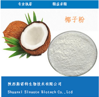 100%全速溶椰子粉 椰子果粉 厂家现货供应 固体饮料果粉