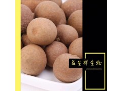 源头工厂桂圆粉桂圆提取物20:1药食同源