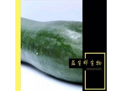 冬瓜粉 优质 冬瓜提取物  固体饮料代餐粉专用 益生祥直销