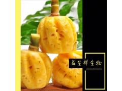 速溶菠萝粉 益生祥凤梨粉固体饮料代餐果汁粉原料菠萝提取物