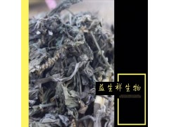 车前子提取物20:1 益生祥厂家直销 1KG起订包邮