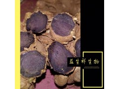 黑姜粉 100%黑姜纯粉 黑姜提取物 黑姜超微粉 益生祥厂家直销现货