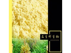 破壁松花粉 新资源 益生祥源头厂家 直销