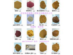 青萍植物公司-供应紫花苜蓿提取物 浓缩汁粉