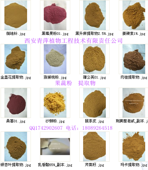 青萍公司供应酸枣仁提取物10:1量大优惠多多