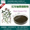 红车轴/红三叶草提取物 总黄酮8~40% 厂家直销