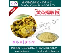 黄芩苷85% 黄芩甙 黄芩提取物 慈缘生物 品质保证