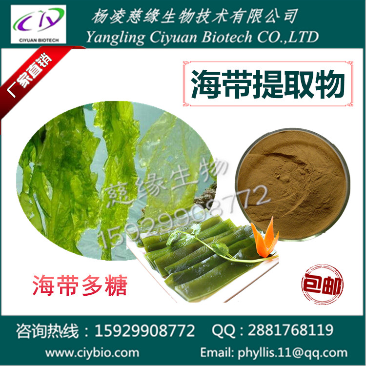 海带提取物03_副本