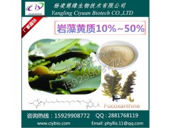 岩藻黄质10~50% 海带提取物 慈缘专业生产