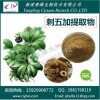 刺五加提取物 刺五加多糖 慈缘生物 厂家直销