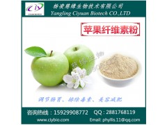 苹果纤维素粉 苹果膳食纤维粉 慈缘生物 厂家直销