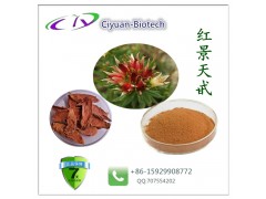 红景天甙1~3% 红景天根提取物
