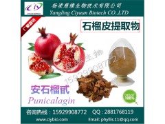 安石榴甙40% 石榴皮提取物 慈缘生物专业供应