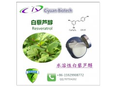 白藜芦醇98% 葡萄皮/虎杖提取物