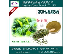 茶叶提取物10:1 绿茶提取物 茶多酚50% 慈缘生物