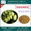 啤酒花提取物10:1 啤酒花黄酮 慈缘生物 天然原料