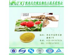 三七皂苷10% 三七提取物 三七根提取 三七粉生产代加工 直销低价