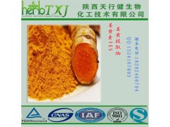 姜黄提取物 四氢姜黄素98% 姜黄色素 QS厂家天行健HPLC检测 保质保量