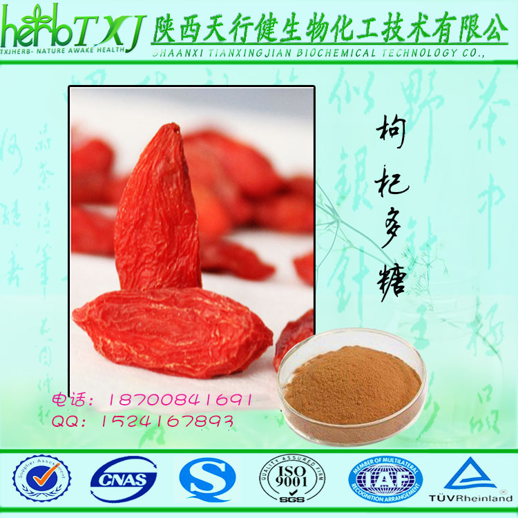 枸杞多糖&mdash;首图终版