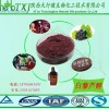 白藜芦醇5%含量 葡萄皮提取物 HPLC检测 QS厂家天行健保质保量 量大从优