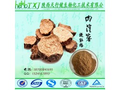 肉苁蓉提取物 肉苁蓉黄酮20% HPLC检测含量保证 QS厂家常年供货 量大从优