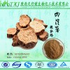 肉苁蓉提取物 肉苁蓉黄酮20% HPLC检测含量保证 QS厂家常年供货 量大从优