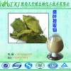 桑叶提取物1% 桑叶DNJ桑叶黄酮 药食同源原料 SC认证企标备案含税包邮 现货直销
