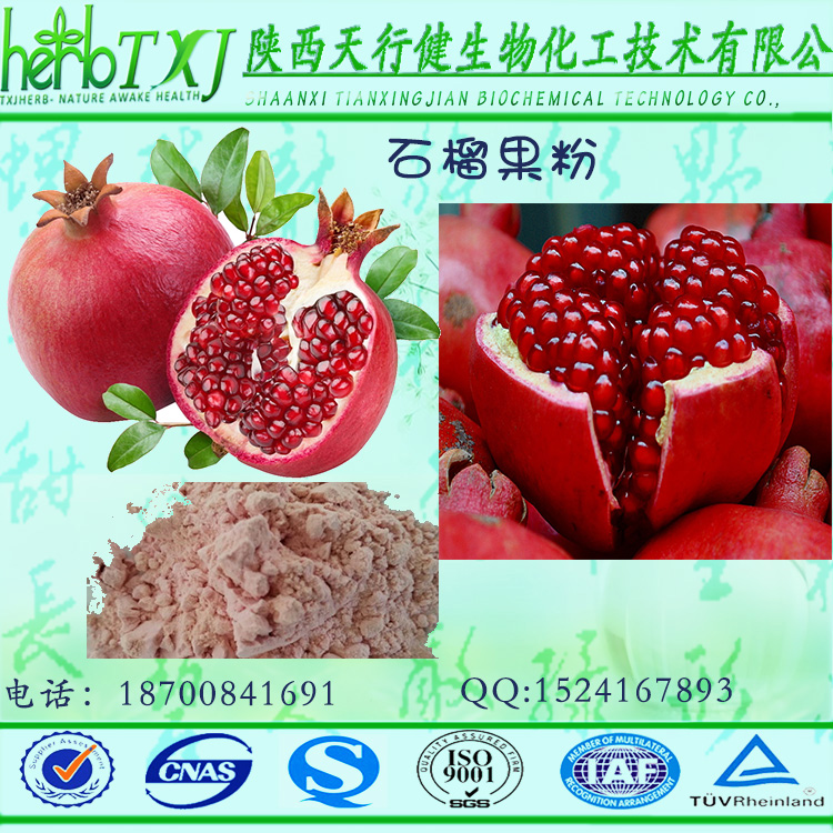石榴果粉100% 石榴果汁粉 天然果蔬粉原料 提供外检SC证 HALAL认证 石榴粉