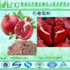 石榴果粉100% 石榴果汁粉 天然果蔬粉原料 提供外检SC证 HALAL认证 石榴粉