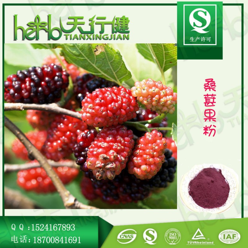 桑葚粉2