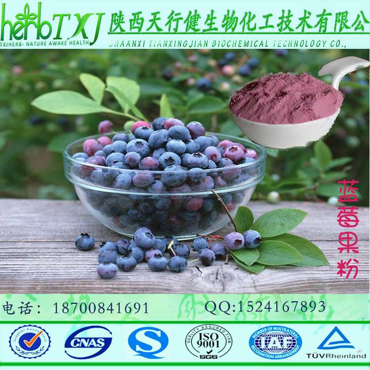 蓝莓果粉2