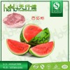 西瓜果粉 西瓜果汁粉 优质速溶西瓜粉 喷雾干燥100%溶于水 西瓜冻干粉 QS厂家天行健品质保证 包邮