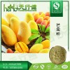 芒果粉 速溶芒果粉 芒果汁粉 固体饮料原料SC实力认证厂家 品质保证 包邮 量大从优