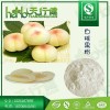 白桃果粉 速溶白桃果汁粉 白桃提取物 品质保证 QS厂家现货直销 量大从优