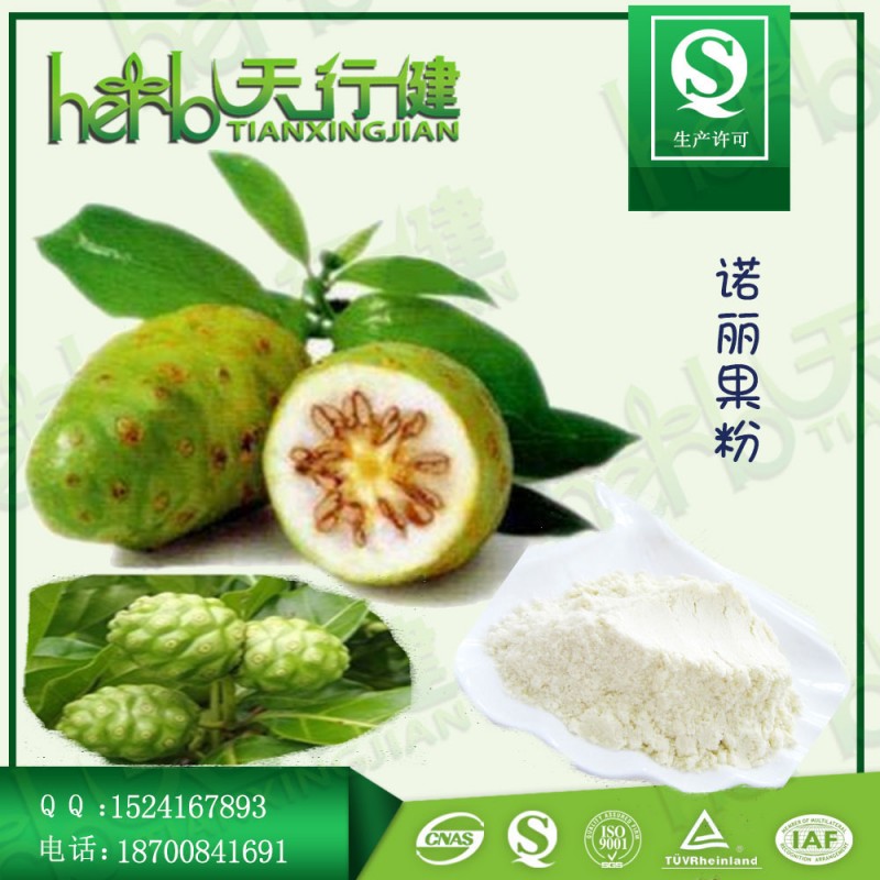 诺丽果粉 99.9%速溶 诺丽果汁粉 速溶固体饮料粉 诺丽果浓缩粉 品质保证 现货包邮