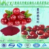 蔓越莓果粉 速溶蔓越莓果汁粉饮料 蔓越莓花青素 品质保证 QS厂家天行健现货直销 包邮