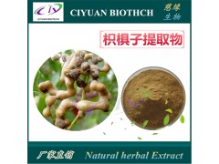 枳椇子提取物10:1 拐枣提取物