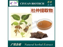 杜仲提取物10:1 绿原酸