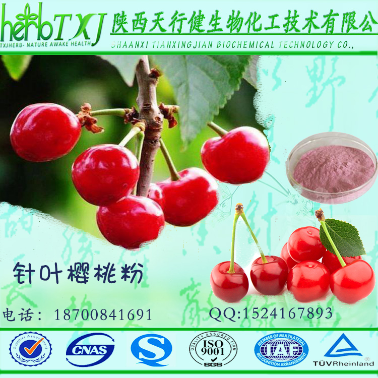 针叶樱桃粉 100%速溶针叶樱桃饮料果汁粉 巴西针叶樱桃提取 QS厂家各种认证齐全 量大从优包邮