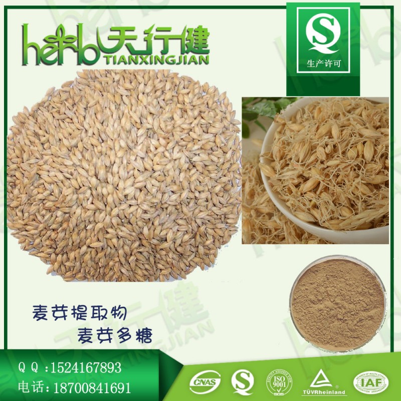 麦芽提取物1