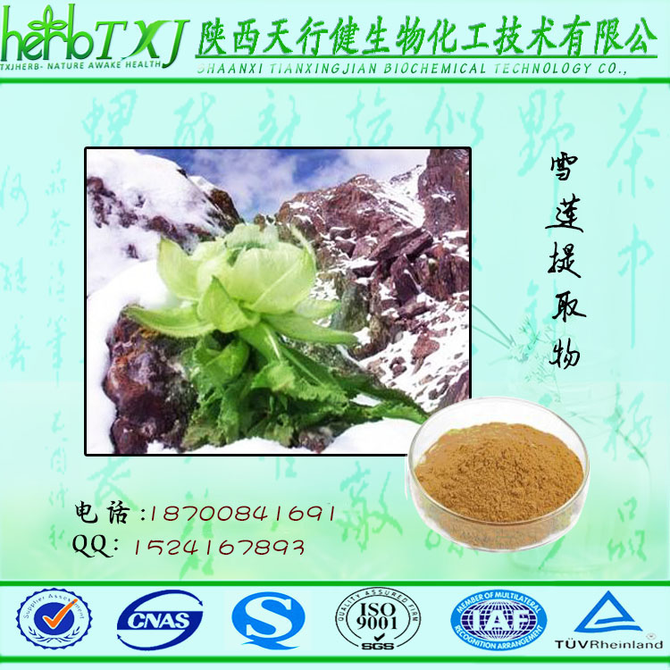 雪莲提取物-首图他、终版