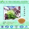 雪莲花提取物 8%雪莲黄酮 雪莲果粉 厂家QS备案质量保证 现货包邮 欢迎咨询