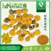 野菊花提取物 蒙花甙1% 野菊花浸膏粉 野菊花黄酮 SC备案企业资质齐全 量大从优价格